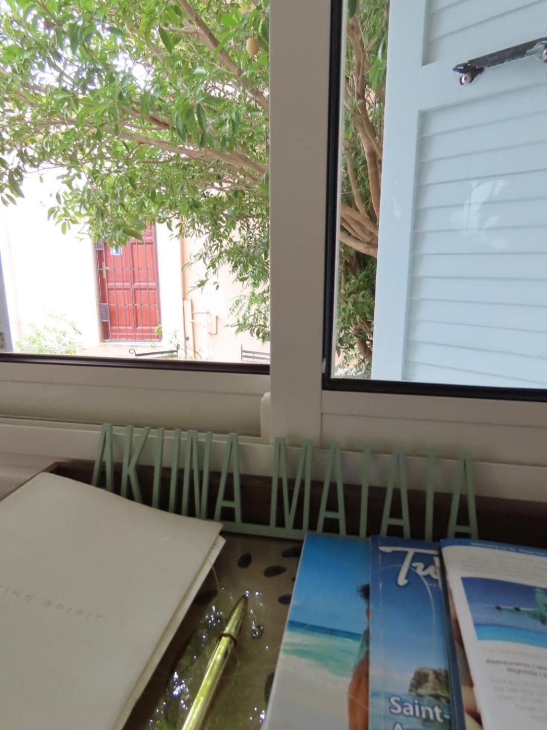 Akunamatata Guest House Grand Case Luaran gambar